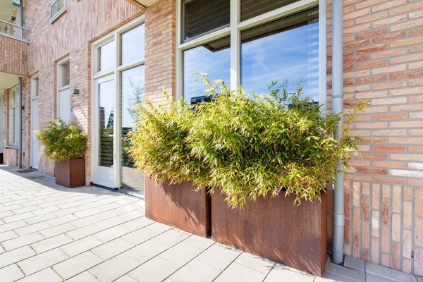 Medium property photo - Drie Kolommenplein 4, 1431 LC Aalsmeer